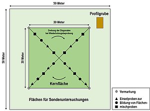 Schema einer BDF-Fläche mit Kernfläche zur Entnahme von Mischproben