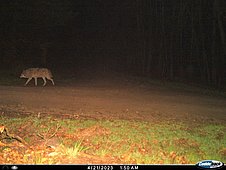 210423_48109-2304210150IIOEW02.jpg