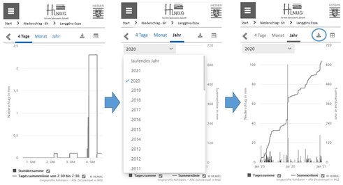 kopieren-grafik-niederschlag.jpg