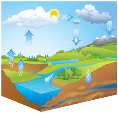 Schematische Darstellung des Wasserkreislaufs