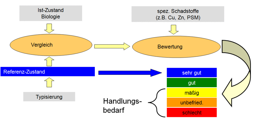 Bewertungsschema der biologischen Qualitätskomponenten der Wasserrahmenrichtlinie