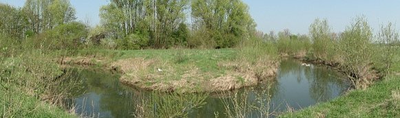 Bild eines Abschnittes der Nidda