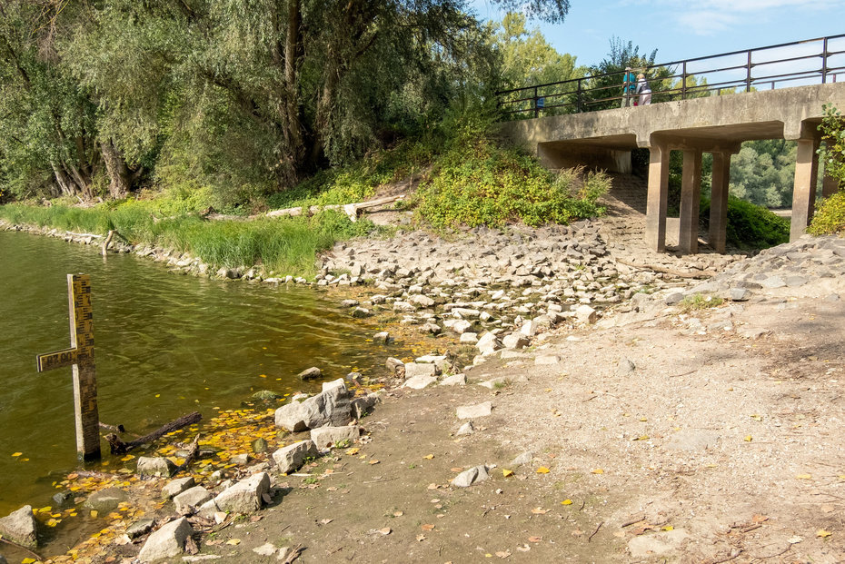 Niedrigwasser am Lampertheimer Altrhein