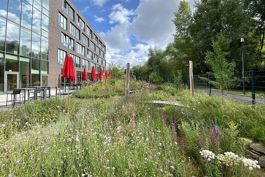 ein Gewerbegebäude im Vordegrund ein Grünstreifen und Sitzmöglichkeiten