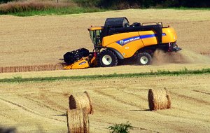 3-Maehdrescher_Ernte_8-2014.JPG