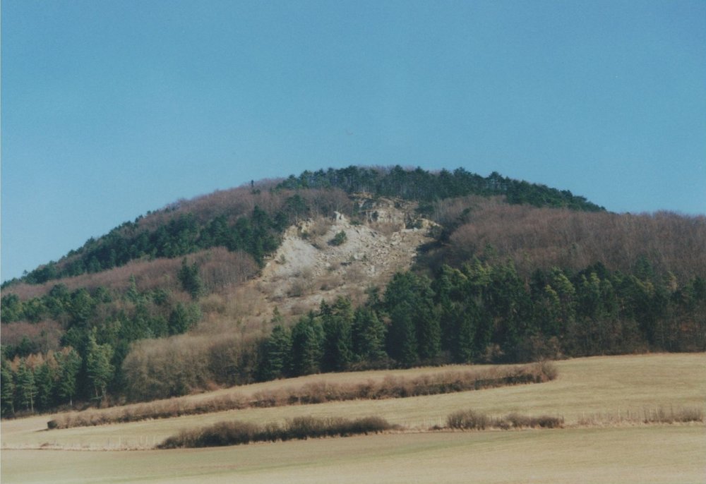 Abb._1_Foto_Rutschung_Schickeberg.jpg