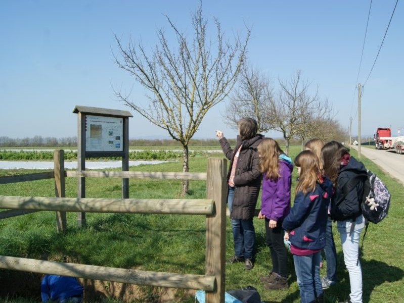 Bodeninformationsstation Domäne Mechtildshausen am Girls Day