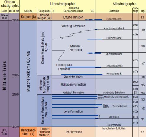 Abb. 8: Stratigraphie des Muschelkalks (Germanische Trias) (nach Kramm & Hagdorn 2013, verändert).