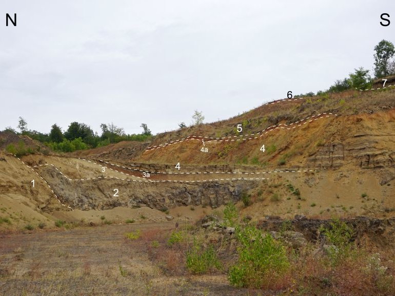 Übersicht über den sog. Neuaufschluss im Südosten des aktiven Steinbruchs in Ober-Widdersheim, der sich in eine untere Wand (ca. 4 m hoch) und eine obere Wand (nahezu senkrecht dazu) gliedern lässt. 1 = Alkalibasaltische Tuffbrekzie (Kraterrand), 2 = Alkalibasalt, 3 = Alkalibasaltischer Lapillituff (Schlotfüllung), 3a = zu Ton alteriert, 4 = Alkalibasaltische Surge- und Fallablagerungen, 4a = thermisch überprägt, 5 = Alkalibasalt, 6 = Alkalibasaltischer Aschentuff, 7 = primitiver Basanit. In dieser Abbildung nicht zu sehen ist eine Lage mit Pflanzenresten zwischen 3a und 4 (Bär & Redler, 2021 (Benennung der Horizonte nach, und detaillierte Beschreibung in Nesbor, 2018)) 