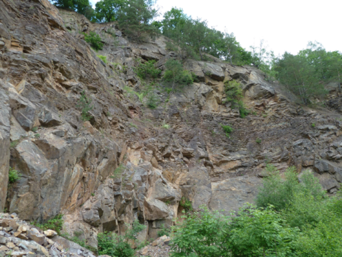 Turbiditablagerungen schließen plattige, tonig-siltige Beckensedimente ein (ehem. Steinbruch an der Dohrenbacher Ecke). Turbiditablagerungen schließen plattige, tonig-siltige Beckensedimente ein (ehem. Steinbruch an der Dohrenbacher Ecke).