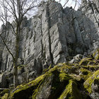 Steinwand in der Rhön