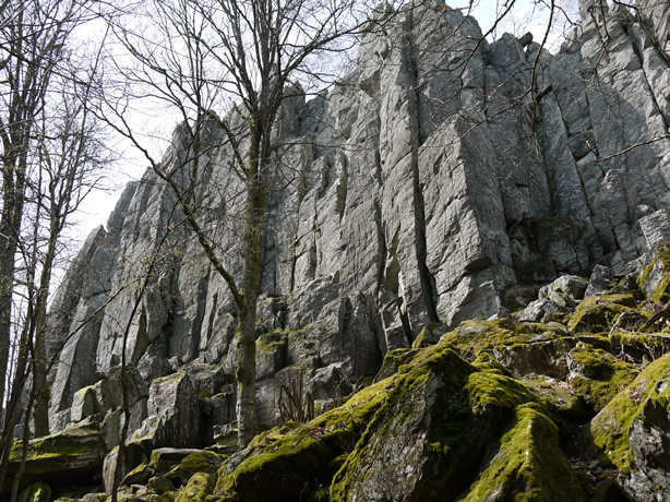 Steinwand in der Rhön