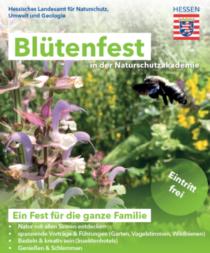 Bluetenfest.png
