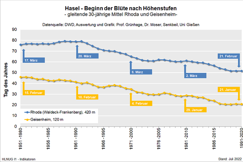 Hasel - Beginn der Blüte nach Höhenstufen gleitende 30-jährige Mittel für Rhoda und Geisenheim