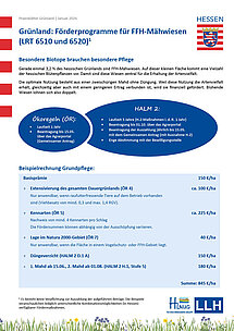 Titelblatt des Praxisblattes zu Förderprogrammen für FFH-Grünland