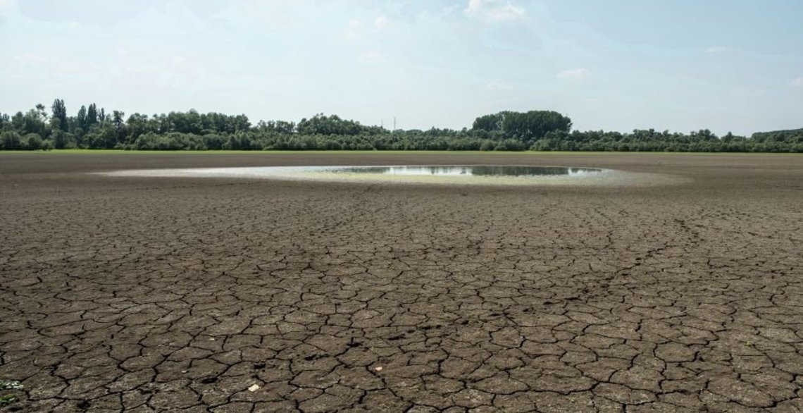 20-Altrhein_trockenheit_1-2018.jpg