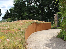 Foto der extensiven Dachbegrünung mit Moos-Sedum-Matten