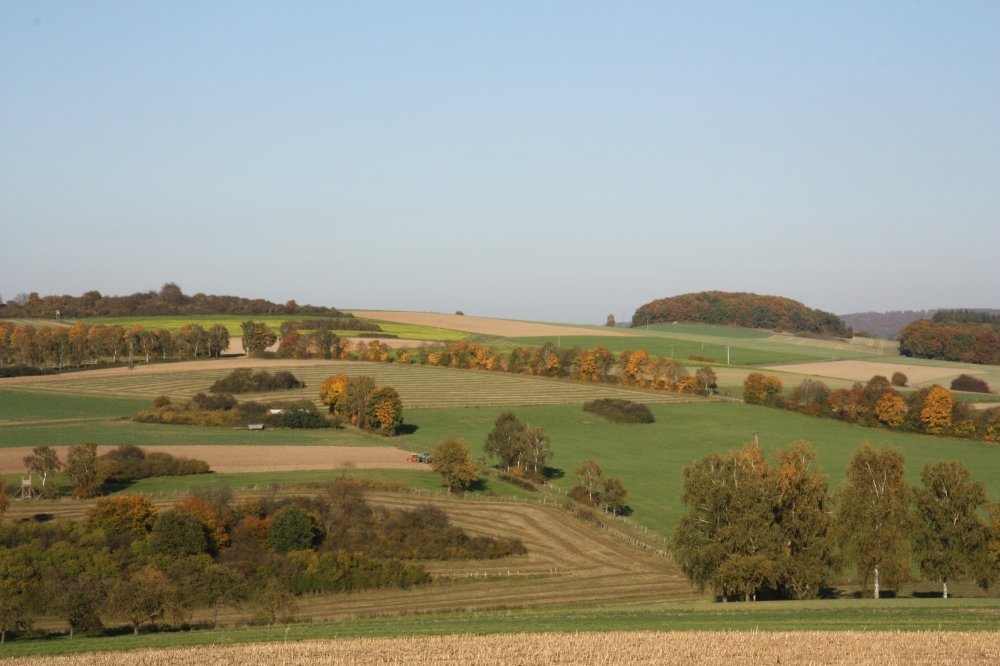 Kulturlandschaft mit zahlreichen Heckenstrukturen