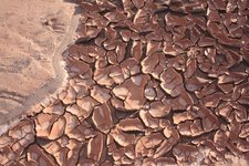 Bild "Trockenrisse in der trockensten Wüste der Welt (Atacama)"
