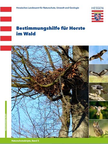 Titelseite der Publikation Bestimmungshilfe für Horste im Wald