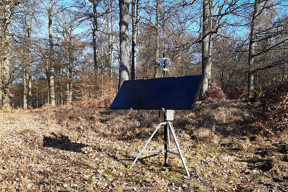 Wald mit einem Audio-Erfassungssystem. Zu sehen ist eine Solarzelle, die auf 3 Beinen steht.