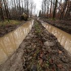 Mit Regenwasser gefüllte Fahrspur im Wald