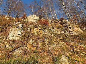 Tertiärer Spessart-Andesit im Aufschluss südöstlich von Alsberg