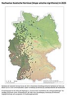 Verbreitungskarte Vespa velutina 2025