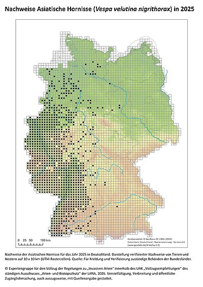 Verbreitungskarte Vv 2025