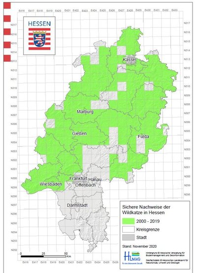 Verbreitungskarte_Wildkatze_2020.JPG