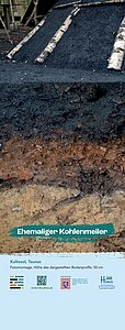 Bodenprofil Kohlenmeilerboden