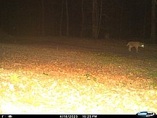 180423_48111-2304182225OEW3.jpg