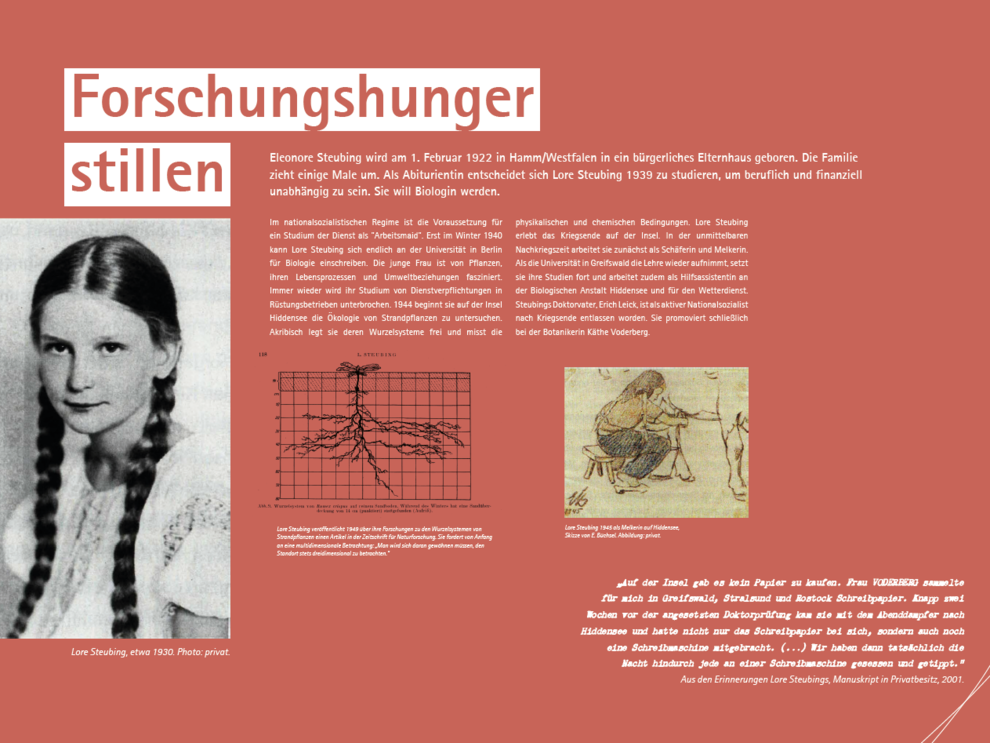 Lore-Steubing-Ausstellung_4.png