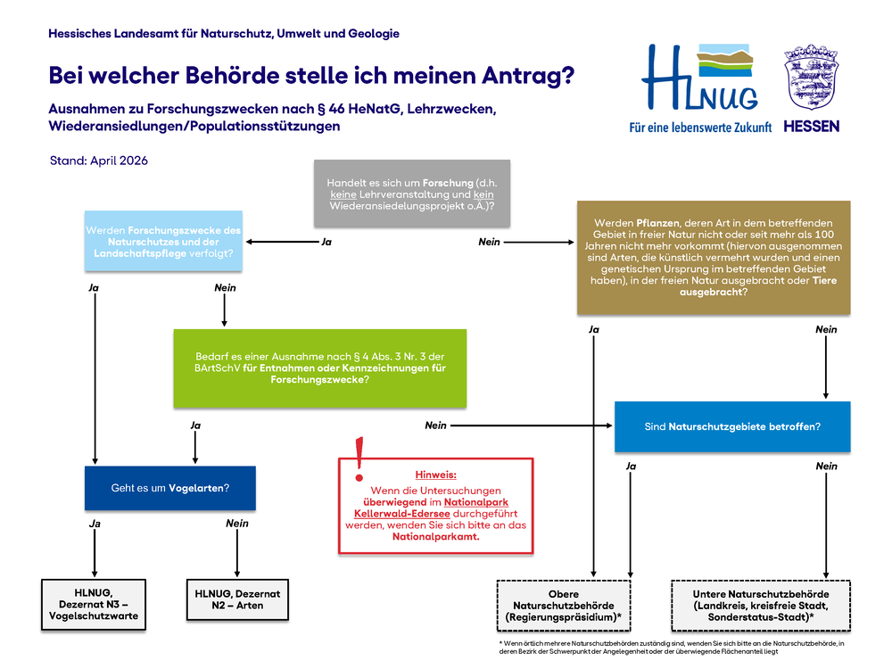 Entscheidungshilfe 