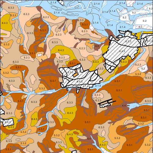 overview