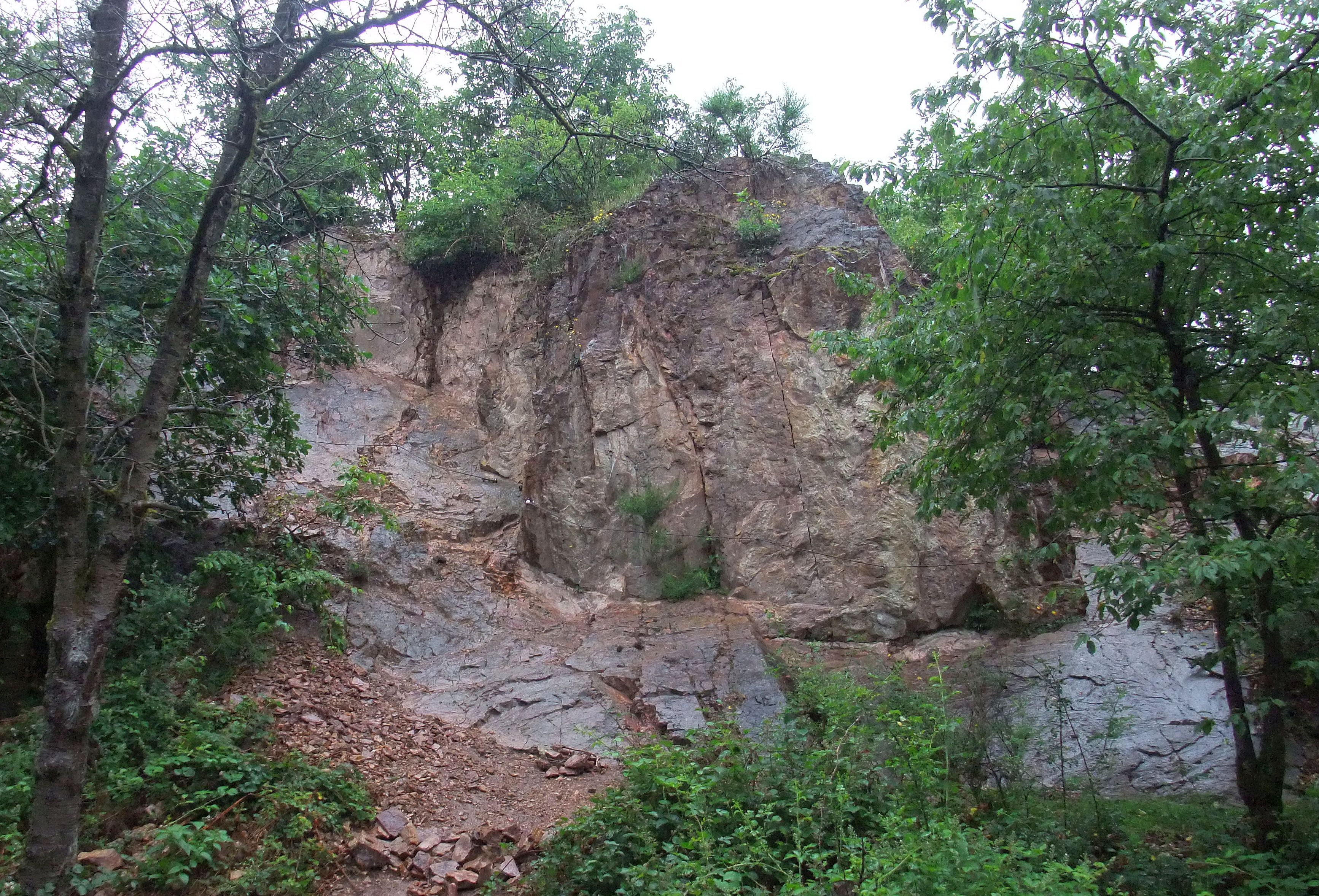 Rhyolith der Schöneck-Formation (Rotliegend) im ehemaligen Steinbruch Knoßberg (Böllsteiner Odenwald)