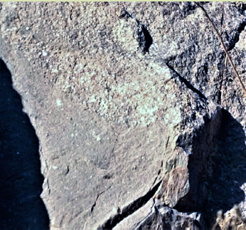 Gradierte, feinkonglomeratische Grauwacke mit diffuser erosiver Grenze zur vorangegangenen Schüttung (Steinbruch Schafhof im Berkatal (Nr. 53, Tab. 9, S. 678), Werra-Meißner-Kreis). Gradierte, feinkonglomeratische Grauwacke mit diffuser erosiver Grenze zur vorangegangenen Schüttung (Steinbruch Schafhof im Berkatal (Nr. 53, Tab. 9, S. 678), Werra-Meißner-Kreis).