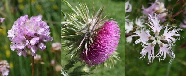 Lehrgarten_Banner_605x250.jpg