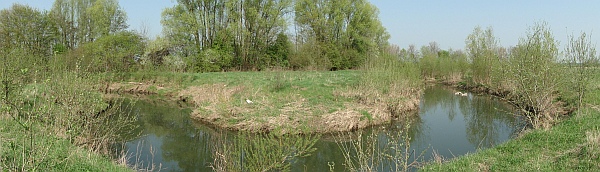 Nidda03_HLUG.jpg