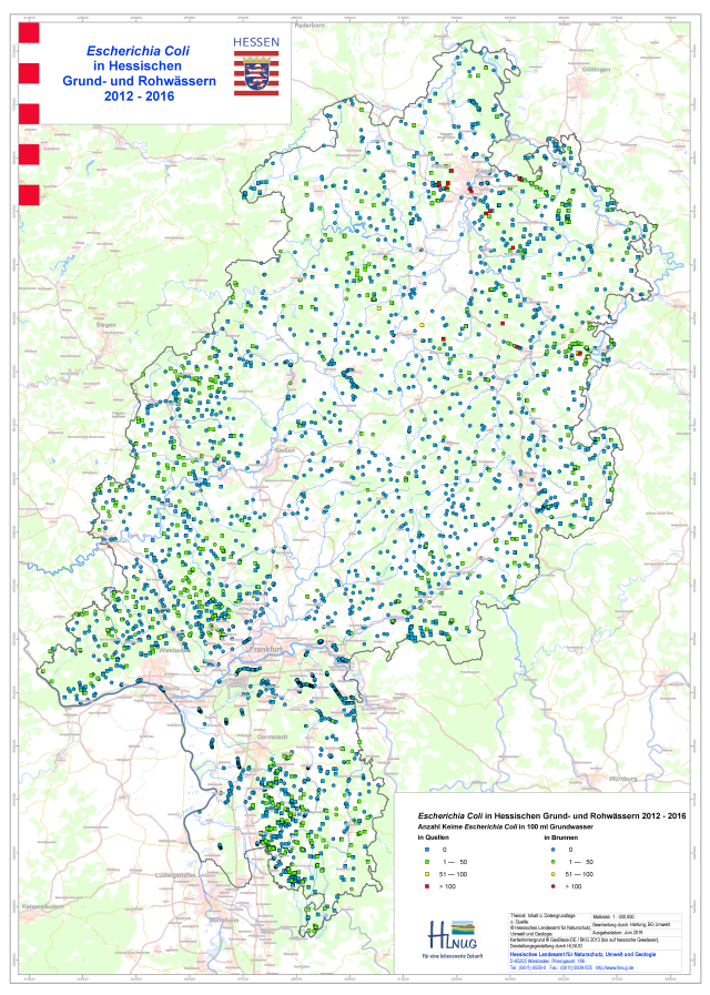 Die Hessenkarte zeigt den jeweils höchsten Nachweis von Escherichia Coli pro 100 Milliliter Grundwasser für die Jahre 2012 bis 2016, aufgeteilt in vier Klassen. Zudem wird zwischen Brunnen und Quellen differenziert. In den Brunnen werden erwartungsgemäß tendenziell niedrigere Anzahlen an Keimen gefunden als in Quellen. In den meisten Fällen konnte kein Escherichia Coli Keim im untersuchten Grundwasser detektiert werden, außerdem zeigten sich mehrfach Überschreitungen, die aber unter 50 Keime pro 100 Milliliter Wasser blieben. Nur in wenigen Fällen, vorwiegend im nordöstlichen Hessen, kam es zu Überschreitungen, welche höher als 100 Keime pro 100 Milliliter Grundwasser waren.