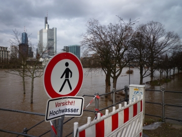 HW-Frankfurt-Jan-2011_klein.jpg