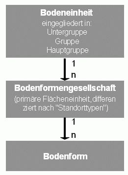 Abb. 1